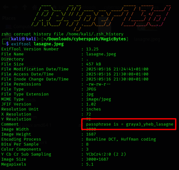 Metadata Check