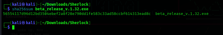 Extracting the password-protected archive and running sha256sum on the executable